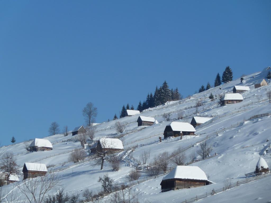 Ranger Chalet Moeciu De Sus Værelse billede